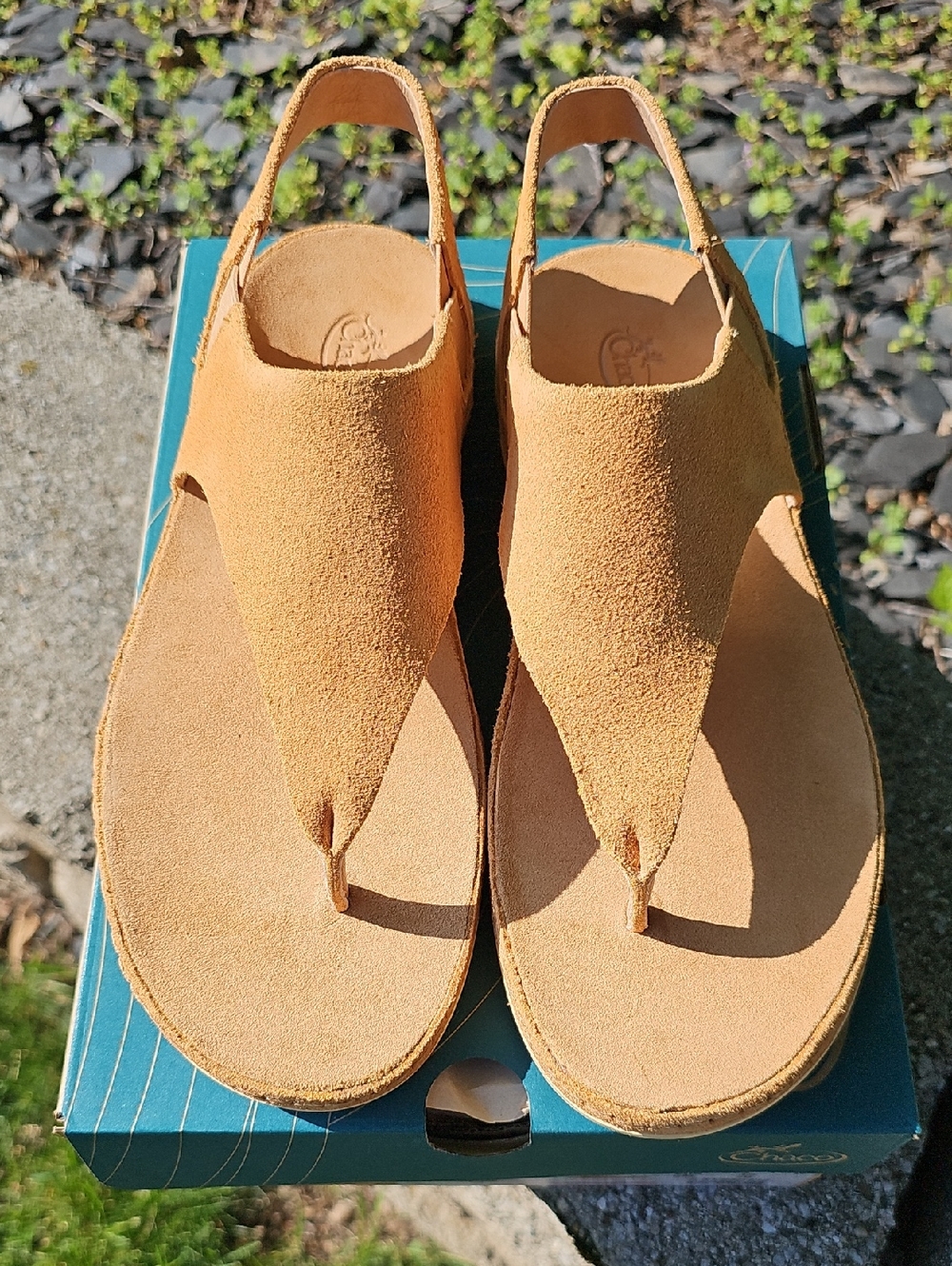 Women's Suede Slingback Thong Sandals in Tan Chaco US 11